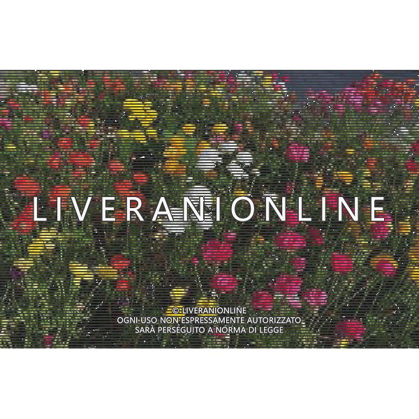 The Botanical Gardens - Jerusalem. ©Photoshot/Agenzia Aldo Liverani Sas - ITALY ONLY - IL GIARDINO BOTANICO DI GERUSALEMME