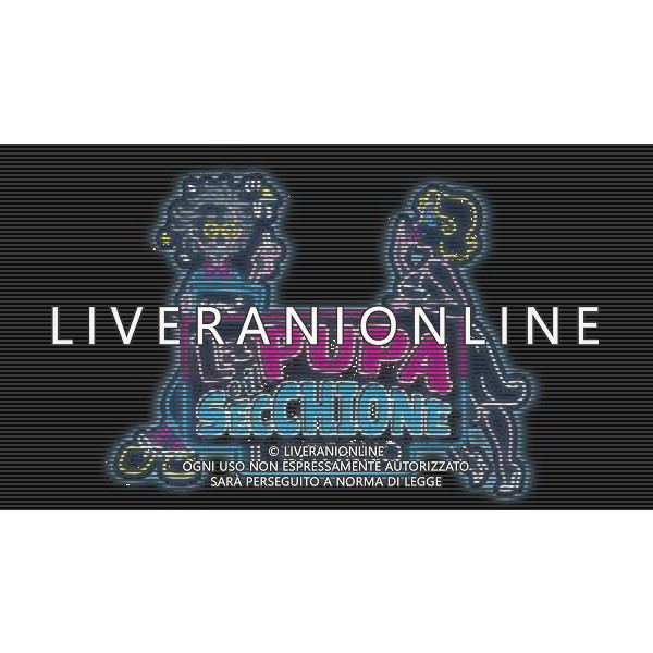 TRASMISSIONE TELEVISIVA LA PUPA E IL SECCHIONE 2010 NELLA FOTO Logo AG ALDO LIVERANI