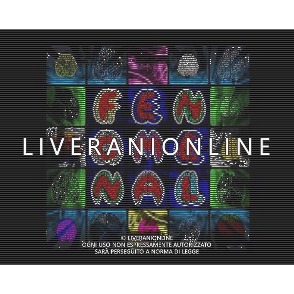 TRASMISSIONE TELEVISIVAÒFenomenalÒ NELLA FOTO Logo FILMCOEX-AG ALDO LIVERANI UFFICIO STAMPA MEDIASET