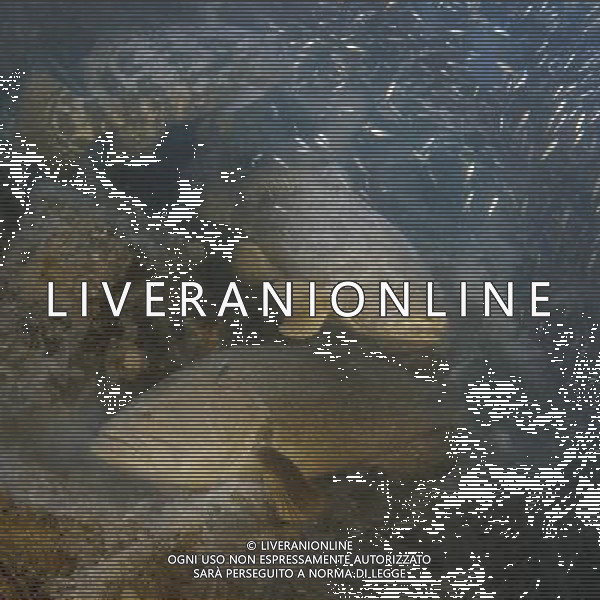 FILM Oceani 3D 2010 NELLA FOTO SCENA DEL DOCUMENTARIO AG ALDO LIVERANI