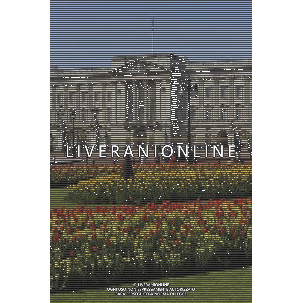 Buckingham Palace in London with spring flowers ©Photoshot/Agenzia Aldo Liverani Sas - ITALY ONLY - LONDRA