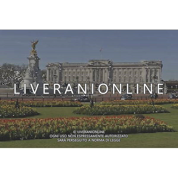 Buckingham Palace in London with spring flowers ©Photoshot/Agenzia Aldo Liverani Sas - ITALY ONLY - LONDRA