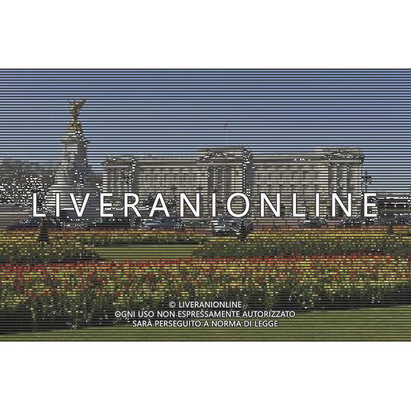 Buckingham Palace in London with spring flowers ©Photoshot/Agenzia Aldo Liverani Sas - ITALY ONLY - LONDRA