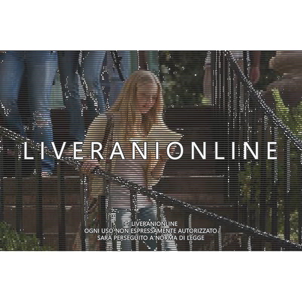 FILM Dear John 2010 NELLA FOTO Amanda Seyfried AG ALDO LIVERANI