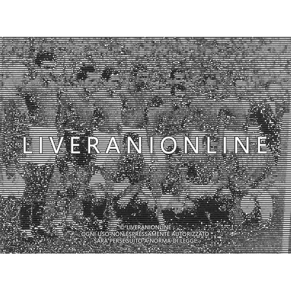 FORMAZIONE ITALIA svizzera 1954 NELLA FOTO FORMAZIONE ITALIA ph.ALDO LIVERANI SAS