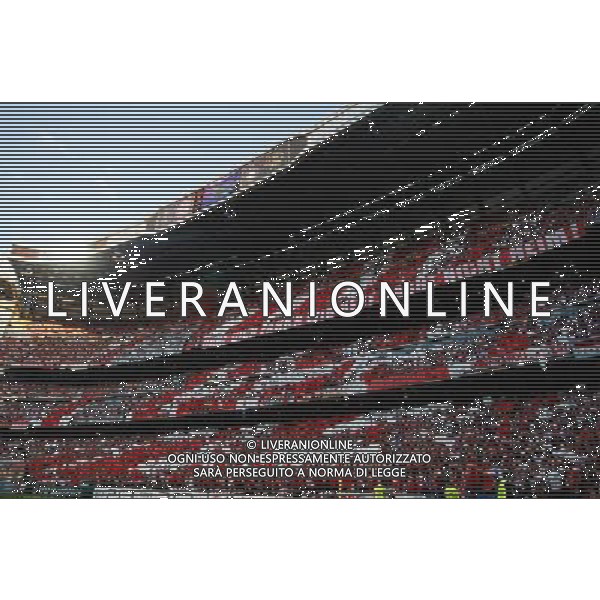 MADRID 22/05/2010 BAYERN MONACO-INTER FINALE DI CHAMPIONS LEAGUE NELLA FOTO TIFOSI BAYERN MONACO ALTERPHOTOS/Alvaro Hernandez -AG ALDO LIVERANI