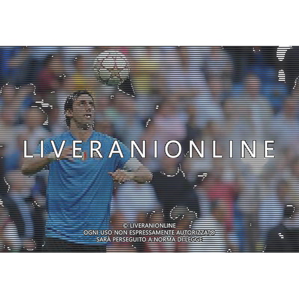 Champions League 2009/2010 Finale Madrid (Santiago Bernabeu) - 22.05.2010 FC Bayern Monaco- FC Inter Nella Foto:MILITO DIEGO /Ph.Vitez-Ag. Aldo Liverani