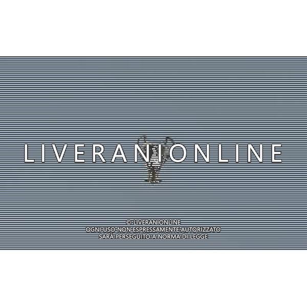 MILANO STADIO MEAZZA SI SANSIRO 23/05/2010 FESTEGGIAMENTI DEI GIOCATORI DELL\' INTER CON I TIFOSI PER LA CONQUISTA DELLA COPPA DELLA CHAMPIONS LEAGUE DOPO IL RIENTRO DA MADRID NELLA FOTO LA COPPA PALLONCINO VOLA ALTO IN CIELO ©ROMANO/AGENZIA ALDO LIVERANI SAS