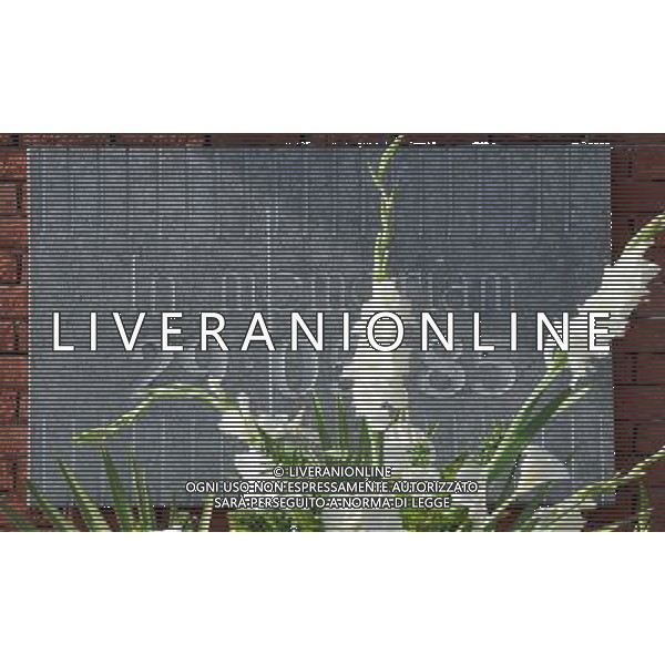 Amichevole Bruxelles - 03.05.2010 Italia-Messico Nella Foto:targa in memoria dei caduti dell\'Heysel /Ph.Vitez-Ag. Aldo Liverani