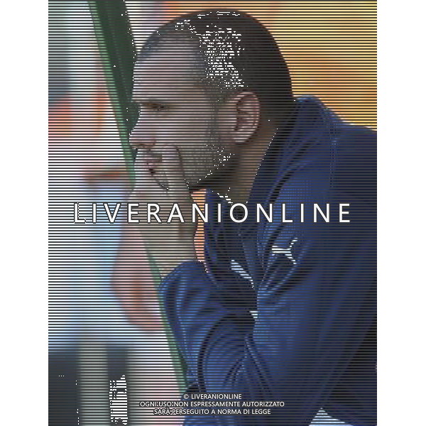 Amichevole Bruxelles - 03.05.2010 Italia-Messico Nella Foto:Pepe Simone /Ph.Vitez-Ag. Aldo Liverani