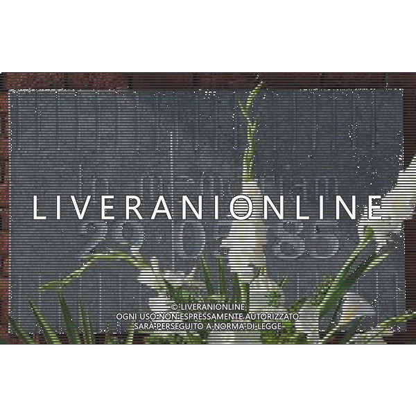 Amichevole Bruxelles - 03.05.2010 Italia-Messico Nella Foto:Targa in memoria degli Italiani deceduti allo stadio Heysel di Bruxelles /Ph.Vitez-Ag. Aldo Liverani