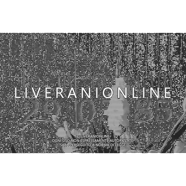 Amichevole Bruxelles - 03.05.2010 Italia-Messico Nella Foto:Targa in memoria degli Italiani deceduti allo stadio Heysel di Bruxelles /Ph.Vitez-Ag. Aldo Liverani