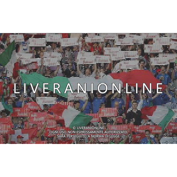 Svizzera - Italia Amichevole Nazionale Pre-mondiale a Ginevra 05/06/2010 nella foto tifosi italia ©Luzzani/Agenzia Aldo Liverani Sas