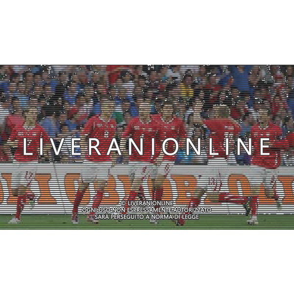 Svizzera - Italia Amichevole Nazionale Pre-mondiale a Ginevra 05/06/2010 nella foto esultanza dopo il gol di inler ©Luzzani/Agenzia Aldo Liverani Sas