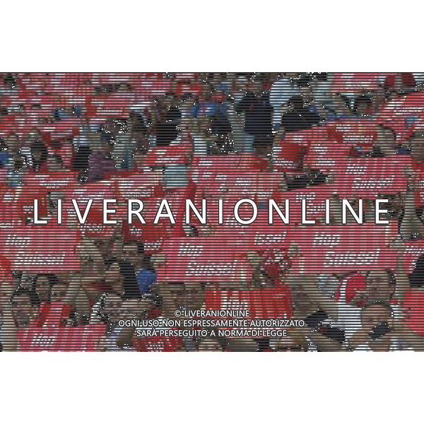 Ginevra (CH) 05-06-2010 Amichevole pre mondiali svizzera-italia 1:1 nella foto tifo svizzera ph marco luzzani/ag aldo liverani s.a.s.