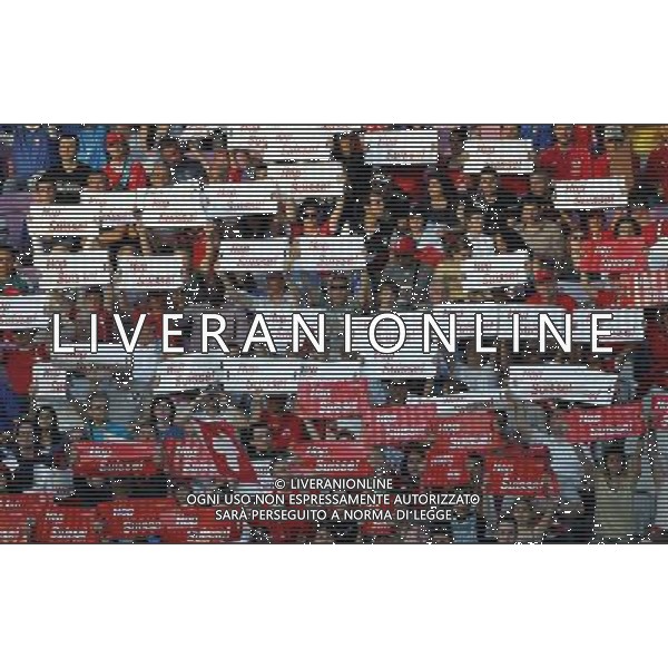 Ginevra (CH) 05-06-2010 Amichevole pre mondiali svizzera-italia 1:1 nella foto tifo svizzera ph marco luzzani/ag aldo liverani s.a.s.