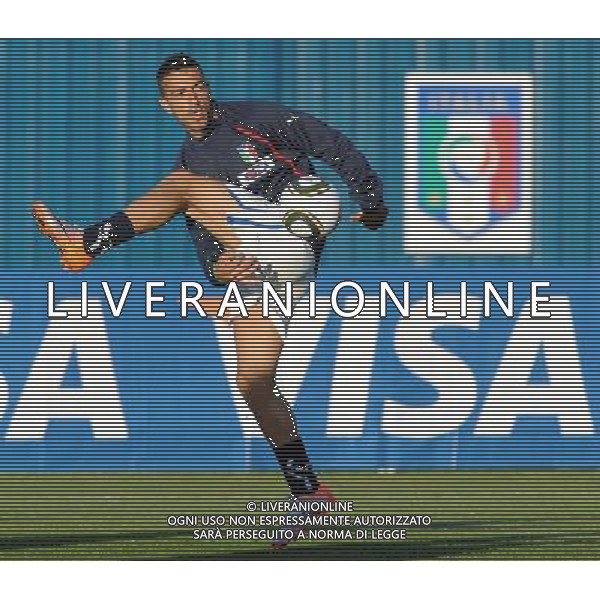 Campionati Mondiali Sud Africa 2010 Irene-Johannesburg - 09.06.2010 Allenamento e Coferenza Stampa Nazionale Italiana Nella Foto:fabio Quagliarella /Ph.Vitez-Ag. Aldo Liverani