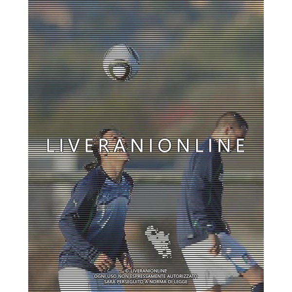 Campionati Mondiali Sud Africa 2010 Irene-Johannesburg - 09.06.2010 Allenamento e Coferenza Stampa Nazionale Italiana Nella Foto:Camoranesi mauro german /Ph.Vitez-Ag. Aldo Liverani