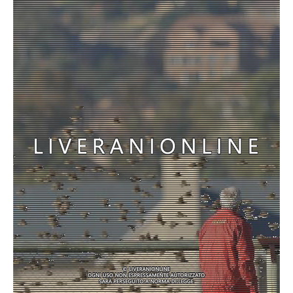 Campionati Mondiali Sud Africa 2010 Irene-Johannesburg - 09.06.2010 Allenamento e Coferenza Stampa Nazionale Italiana Nella Foto:Lippi marcello /Ph.Vitez-Ag. Aldo Liverani