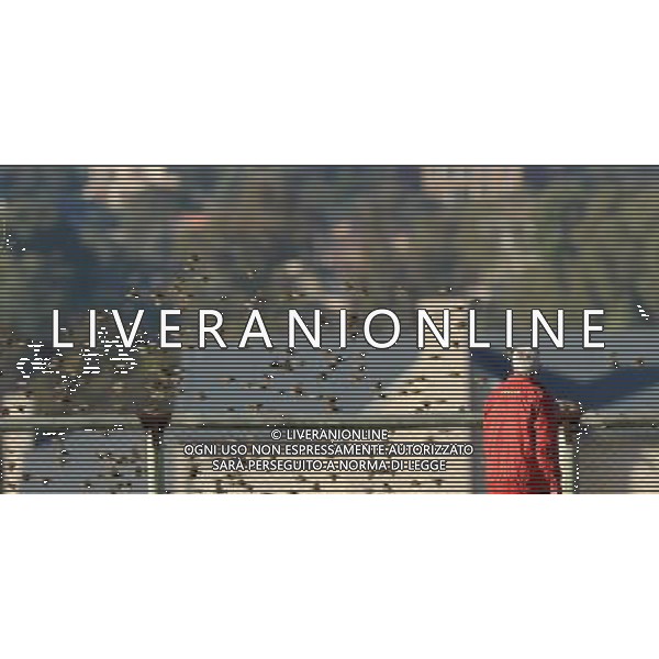 Campionati Mondiali Sud Africa 2010 Irene-Johannesburg - 09.06.2010 Allenamento e Coferenza Stampa Nazionale Italiana Nella Foto:Lippi marcello /Ph.Vitez-Ag. Aldo Liverani