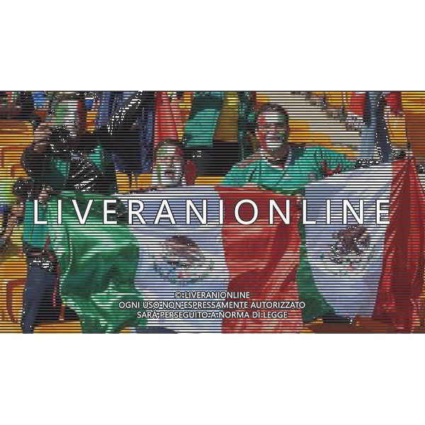 Fifa World Cup Sud Africa 2010 Match #1 Johannesburg (Soccer City Stadium) - 11.06.2010 Sud Africa-Messico Nella Foto: TIFOSI /Ph.Vitez-Ag. Aldo Liverani