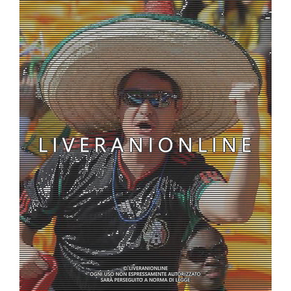 Fifa World Cup Sud Africa 2010 Match #1 Johannesburg (Soccer City Stadium) - 11.06.2010 Sud Africa-Messico Nella Foto: TIFOSI /Ph.Vitez-Ag. Aldo Liverani