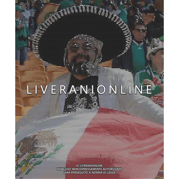 Fifa World Cup Sud Africa 2010 Match #1 Johannesburg (Soccer City Stadium) - 11.06.2010 Sud Africa-Messico Nella Foto: TIFOSI /Ph.Vitez-Ag. Aldo Liverani