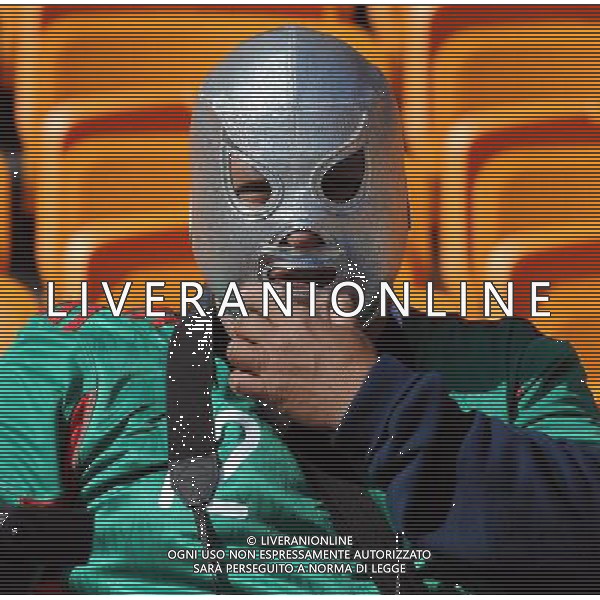 Fifa World Cup Sud Africa 2010 Match #1 Johannesburg (Soccer City Stadium) - 11.06.2010 Sud Africa-Messico Nella Foto: TIFOSI /Ph.Vitez-Ag. Aldo Liverani