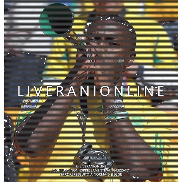 Fifa World Cup Sud Africa 2010 Match #1 Johannesburg (Soccer City Stadium) - 11.06.2010 Sud Africa-Messico Nella Foto: TIFOSI /Ph.Vitez-Ag. Aldo Liverani