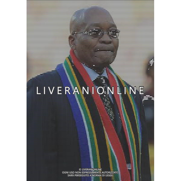 Fifa World Cup Sud Africa 2010 Match #1 Johannesburg (Soccer City Stadium) - 11.06.2010 Sud Africa-Messico Nella Foto:zuma /Ph.Vitez-Ag. Aldo Liverani