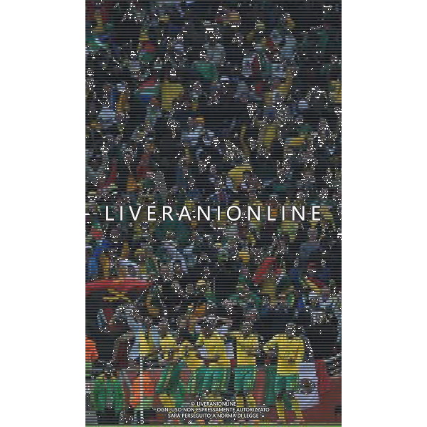 Fifa World Cup Sud Africa 2010 Match #1 Johannesburg (Soccer City Stadium) - 11.06.2010 Sud Africa-Messico Nella Foto:tshabalala esulta /Ph.Vitez-Ag. Aldo Liverani