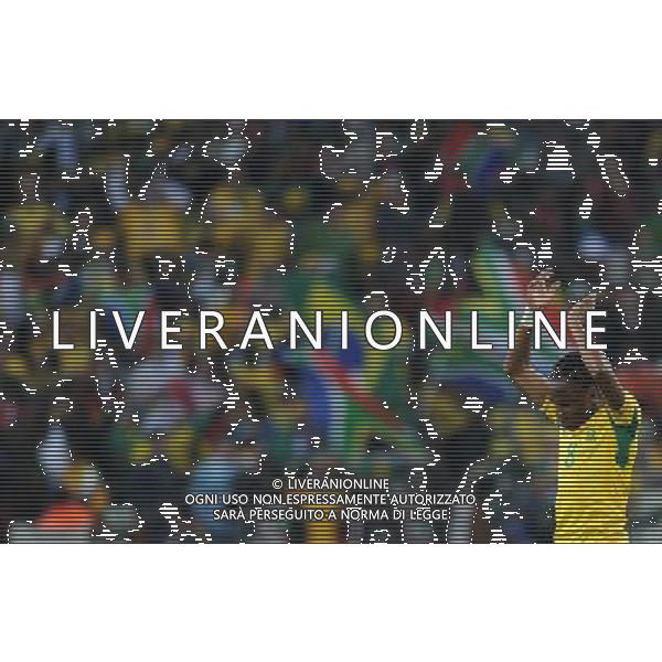 Fifa World Cup Sud Africa 2010 Match #1 Johannesburg (Soccer City Stadium) - 11.06.2010 Sud Africa-Messico Nella Foto:tshabalala esulta /Ph.Vitez-Ag. Aldo Liverani