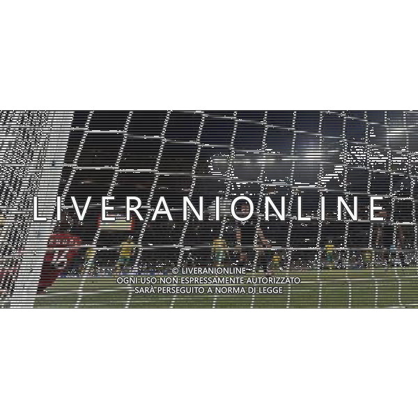 Fifa World Cup Sud Africa 2010 Match #1 Johannesburg (Soccer City Stadium) - 11.06.2010 Sud Africa-Messico Nella Foto:marquez gol /Ph.Vitez-Ag. Aldo Liverani