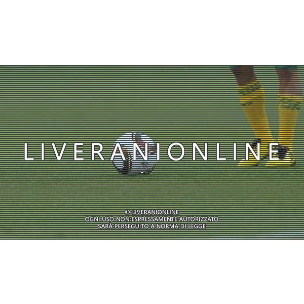 Fifa World Cup Sud Africa 2010 Match #1 Johannesburg (Soccer City Stadium) - 11.06.2010 Sud Africa-Messico Nella Foto:Calcio-Pallone /Ph.Vitez-Ag. Aldo Liverani