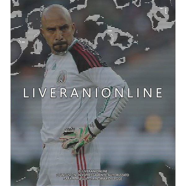 Fifa World Cup Sud Africa 2010 Match #1 Johannesburg (Soccer City Stadium) - 11.06.2010 Sud Africa-Messico Nella Foto:Perez Oscar /Ph.Vitez-Ag. Aldo Liverani