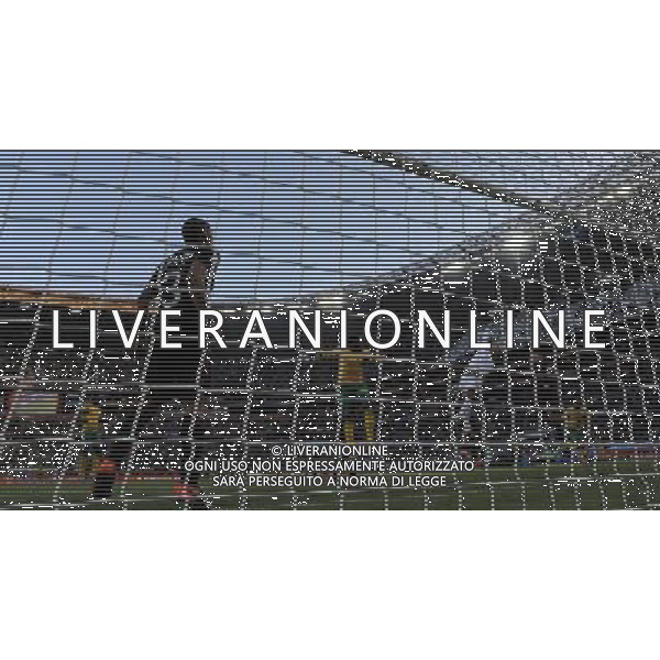 Fifa World Cup Sud Africa 2010 Match #1 Johannesburg (Soccer City Stadium) - 11.06.2010 Sud Africa-Messico Nella Foto:Perez Oscar /Ph.Vitez-Ag. Aldo Liverani