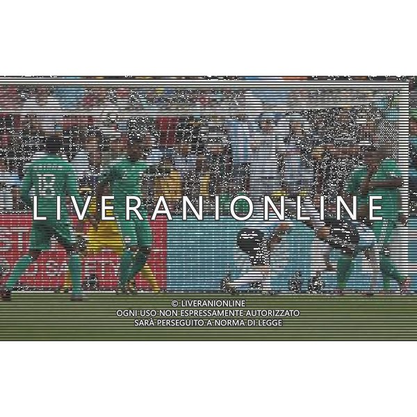 12/06/2010 CAMPIONATO DEL MONDO SUD AFRICA 2010 GARA 3 ARGENTINA-NIGERIA NELLA FOTO IL GOL Gabriel HEINZE AG FIROFOTO-AG ALDOL IVERANI-ONLY ITALY