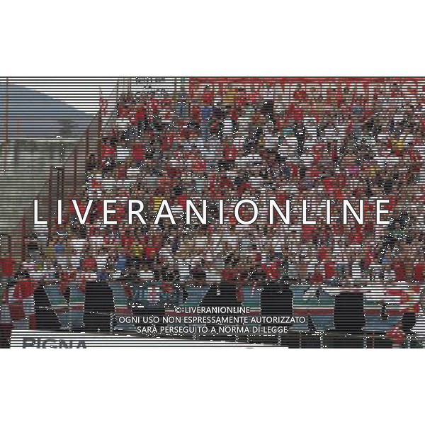 VARESE-CREMONESE PLAY-OFF DI RITORNO 13/06/2010 NELLA FOTO i viking con i tifosi del varese FOTO MARCO LUZZANI-AG ALDO LIVERANI