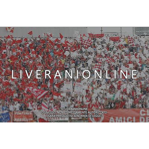 VARESE-CREMONESE PLAY-OFF DI RITORNO 13/06/2010 NELLA FOTO tifosi varese FOTO MARCO LUZZANI-AG ALDO LIVERANI