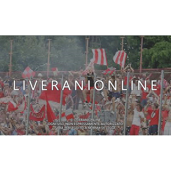 Varese 13-06-2010 Campionato Lega Pro 1 divisione ritorno finale play off varese-cremonese nella foto tifo cremonese ph marco luzzani/ag aldo liverani s.a.s.