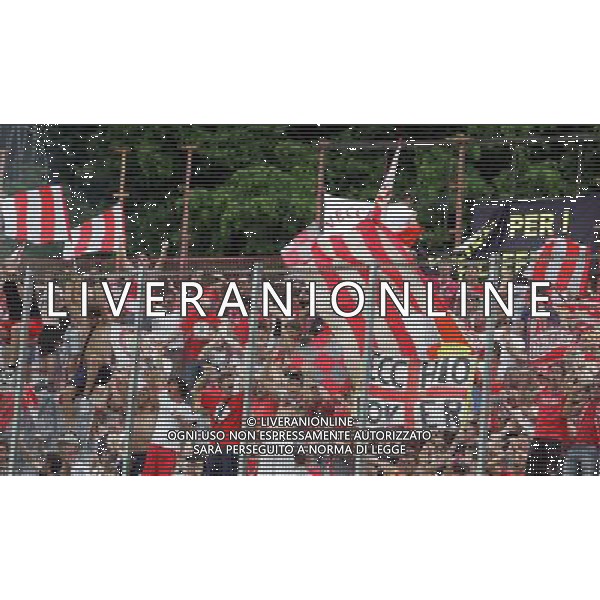Varese 13-06-2010 Campionato Lega Pro 1 divisione ritorno finale play off varese-cremonese nella foto tifo cremonese ph marco luzzani/ag aldo liverani s.a.s.
