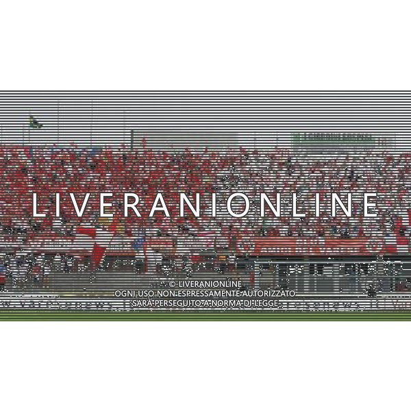 Varese 13-06-2010 Campionato Lega Pro 1 divisione ritorno finale play off varese-cremonese nella foto tifo varese ph marco luzzani/ag aldo liverani s.a.s.