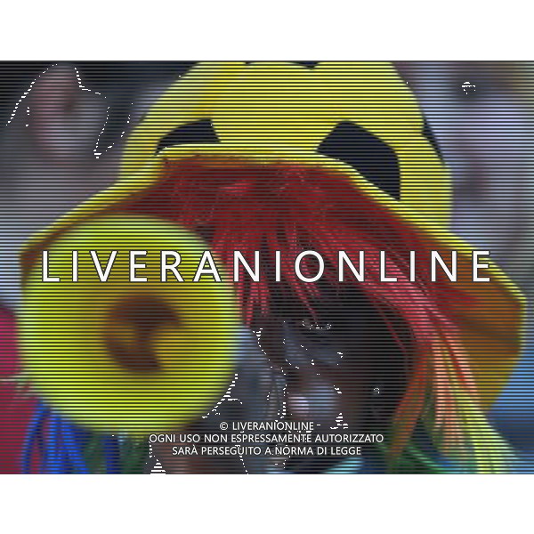 (100612) -- JOHANNESBURG, June 12, 2010 () -- A South African fan trumps to cheer prior to a group B first round match between Argentina and Nigeria at the 2010 FIFA World Cup at Ellis Park stadium in Johannesburg, South Africa, on June 12, 2010. (/Wang Yuguo) (xm) ©Photoshot/Agenzia Aldo Liverani Sas - ITALY ONLY - ARGENTINA- USA FIFA WORLD CUP CAMPIONATI MONDIALI SUD AFRICA 2010