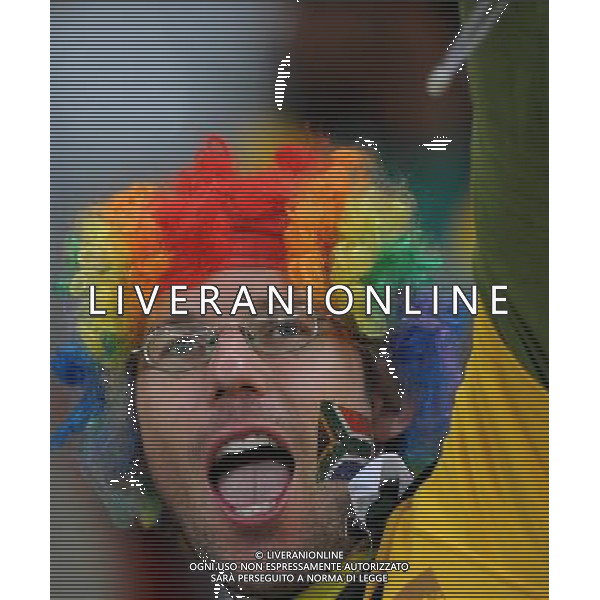 (100612) -- CAPE TOWN, June 12, 2010 () -- A soccer fan cheers during a Group A match of the 2010 World Cup between France and Uruguay at Green Point stadium in Cape Town, South Africa, on June 11, 2010. The match ended with a draw 0-0. (/Yang Lei) (dx) ©Photoshot/Agenzia Aldo Liverani Sas - ITALY ONLY - FRANCIA - URUGUAY FIFA WORLD CUP CAMPIONATI MONDIALI SUD AFRICA 2010