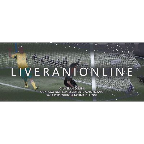 (100611) -- JOHANNESBURG, June 11, 2010 () -- Carlos Vela (R) of Mexico shoots to score a goal which was later ruled for offside during a group A match of the 2010 FIFA World Cup against South Africa at Soccer City stadium in Soweto, suburban Johannesburg, on June 11, 2010. (/Li Ga) (ly) ©Photoshot/Agenzia Aldo Liverani Sas - ITALY ONLY: SUDAFRICA - MESSICO FIFA WORLD CUP CAMPIONATI MONDIALI SUD AFRICA 2010