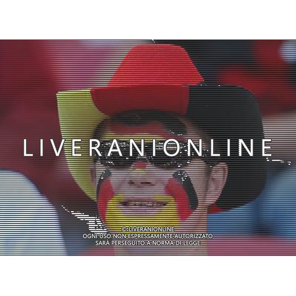 CALCIO SPORT 18.06.2010 FIFA WORLD CUP 2010 SUDAFRICA 2010 FIFA WORLD CUP SOUTH AFRICA, MATCH 21 GER-SRB, Germany-Serbia, Deutschland-Serbien, GERMANIA - SERBIA GIRONE D NELLA FOTO TIFO GERMANIA PH firo/AG ALDO LIVERANI SAS ONLY ITALY