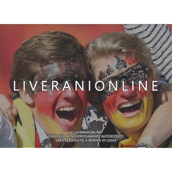 CALCIO SPORT 18.06.2010 FIFA WORLD CUP 2010 SUDAFRICA 2010 FIFA WORLD CUP SOUTH AFRICA, MATCH 21 GER-SRB, Germany-Serbia, Deutschland-Serbien, GERMANIA - SERBIA GIRONE D NELLA FOTO TIFO GERMANIA PH firo/AG ALDO LIVERANI SAS ONLY ITALY