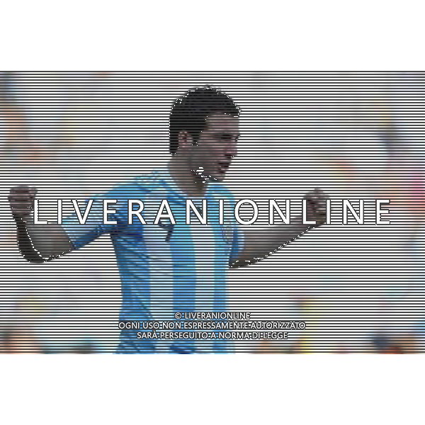 (100617) -- JOHANNESBURG, June 17, 2010 -- Argentina\'s Gonzalo Higuain celebrates scoring during a 2010 World Cup Group B match between Argentina and South Korea at the Soccer City stadium in Soweto, suburban Johannesburg, South Africa, on June 17, 2010. Wang Yuguo) (zc) ©Photoshot/Agenzia Aldo Liverani Sas - ITALY ONLY - ARGENTINA - COREA DEL SUD FIFA WORLD CUP CAMPIONATI MONDIALI SUD AFRICA 2010