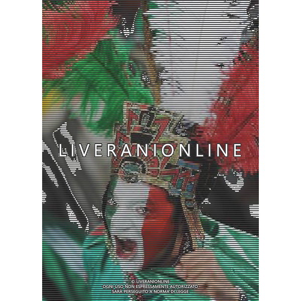 (100618) -- POLOKWANE, June 18, 2010 -- A Mexico\'s fan gestures prior to a 2010 World Cup Group A match between Mexico and France at the Peter Mokaba stadium in Polokwan, South Africa, on June 17, 2010. Li Ga) ©Photoshot/Agenzia Aldo Liverani Sas - ITALY ONLY - FRANCIA - MESSICO FIFA WORLD CUP CAMPIONATI MONDIALI SUD AFRICA 2010