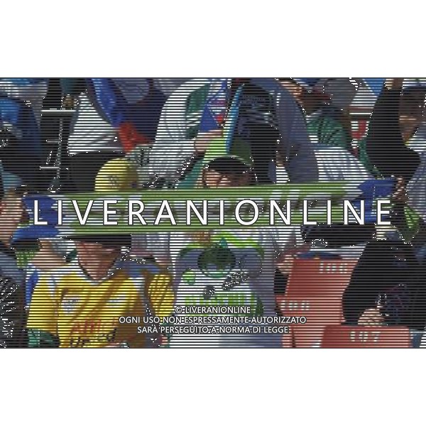 18/06/2010 johannesburg sudafrica world cup fifa 2010 SUDAFRICA CALCIO SPORT GRUPPO C: SLOVENIA - STATI UNITI MATCH 22 nella foto tifosi ph Vitez/AG ALDO LIVERANI SAS